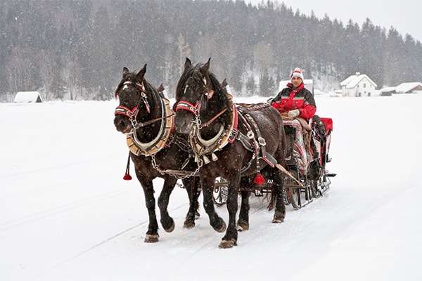 Pferdschlittenfahrt im verschneiten Bad Mitterndorf in der Steiermark